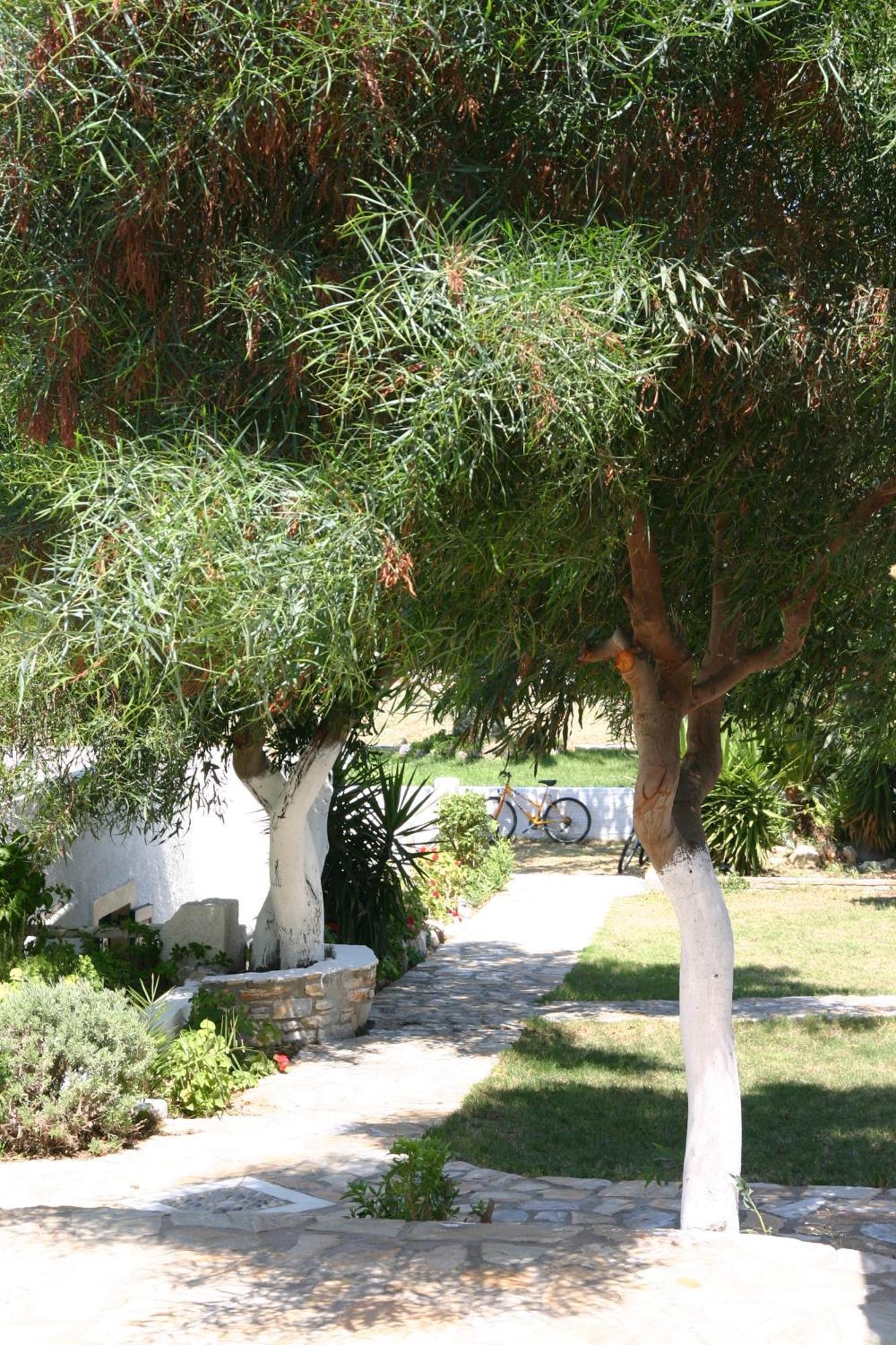 Scala Apartments Kastrákion Dış mekan fotoğraf